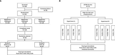 Frontiers Gut Microbiota Is Correlated With Gastrointestinal Adverse